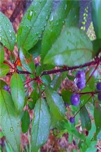 Journal Fruit Tree Berries