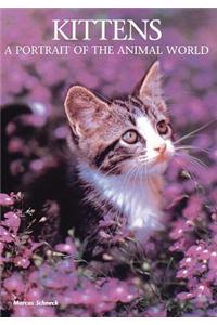 Kittens: A Portrait of the Animal World