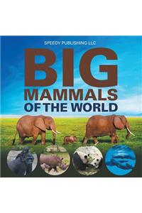 Big Mammals Of The World