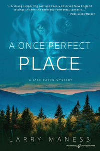 A Once Perfect Place
