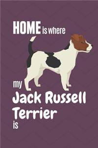 Home is where my Jack Russell Terrier is
