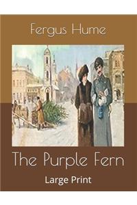 The Purple Fern