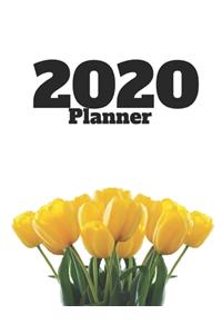 2020
