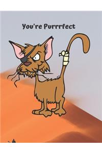 Steve & Jim, lost in the desert meet the purrfect cat