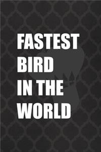 Fastest Bird In The World