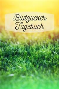 Blutzucker Tagebuch