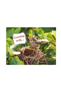 Learning to fly...