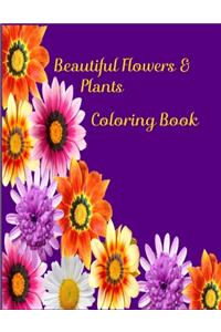 Beautiful Flowers and Plants Coloring Book