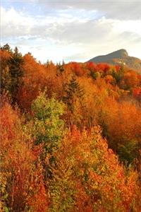 Fall 2020 Weekly Planner Beautiful Mountain Scene 134 Pages