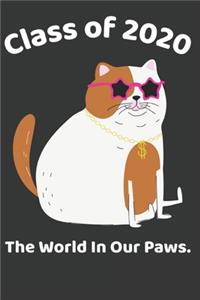 Class of 2020 the World in Our Paws.