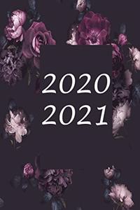 2020 / 2021