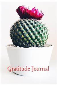 Gratitude Journal