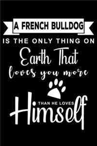 A French Bulldog is the only thing on earth that loves you more