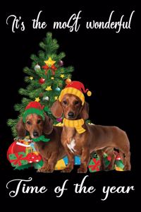 Its The Most Wonderful Time of The Year