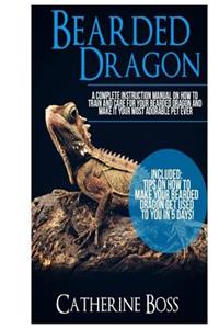 Bearded Dragon