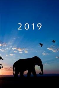 2019
