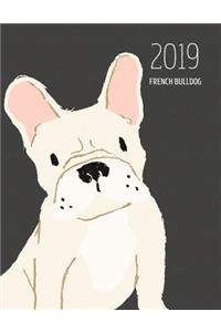 2019 French Bulldog