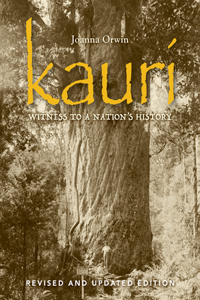 Kauri