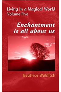 Enchantment is All About Us