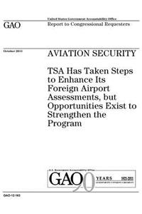Aviation security