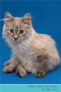 Kurilian Bobtail Cat Presents