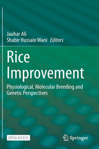 Rice Improvement