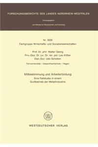 Mitbestimmung Und Arbeiterbildung