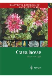 Illustrated Handbook of Succulent Plants: Crassulaceae