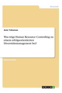 Was trägt Human Resource Controlling zu einem erfolgsorientierten Diversitätsmanagement bei?
