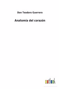 Anatomía del corazón