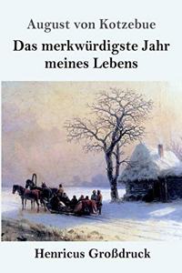 merkwürdigste Jahr meines Lebens (Großdruck)