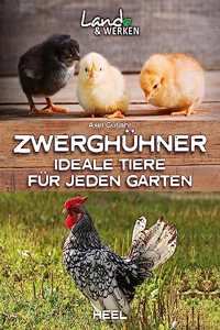 Zwerghuhner