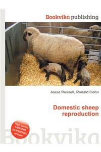 Domestic Sheep Reproduction