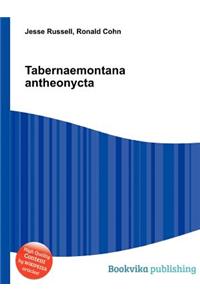 Tabernaemontana Antheonycta