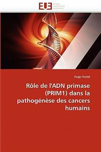 Rôle de l''adn primase (prim1) dans la pathogénèse des cancers humains