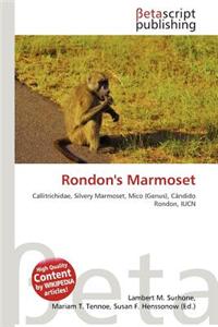 Rondon's Marmoset