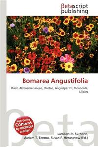 Bomarea Angustifolia