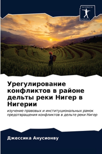 Урегулирование конфликтов в районе дель