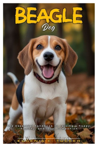 Beagle Dog