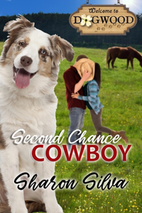 Sceond Chance Cowboy