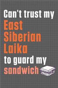 Can't trust my East Siberian Laika to guard my sandwich