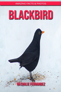 Blackbird