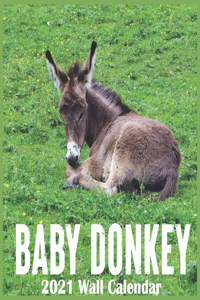 Baby Donkey 2021 Wall Calendar