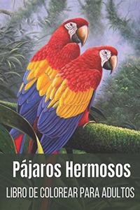 Pájaros Hermosos Libro de Colorear Para Adultos