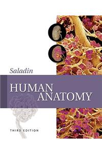 Human Anatomy