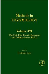 The Unfolded Protein Response and Cellular Stress