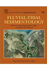 Fluvial-Tidal Sedimentology