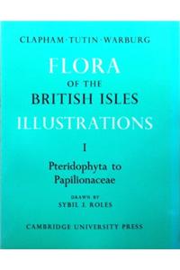 Flora of the British Isles 4 Volume Paperback Set