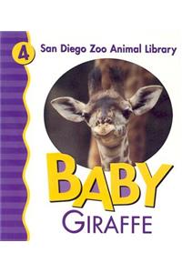 Baby Giraffe