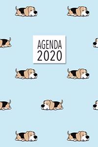 Agenda 2020